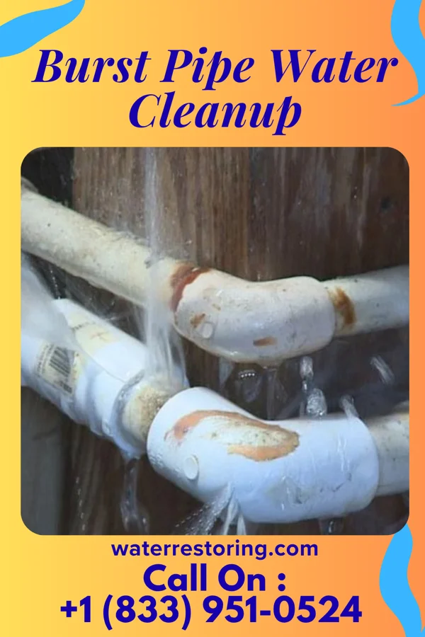 Burst Pipe Water Cleanup in Cambridge, OH