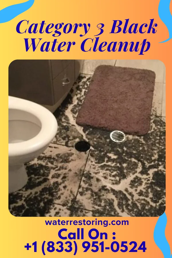 Category 3 Black Water Cleanup in Cambridge, OH