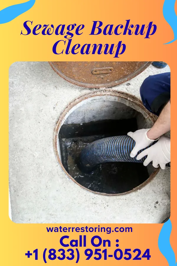 Sewage Backup Cleanup in Cambridge, OH
