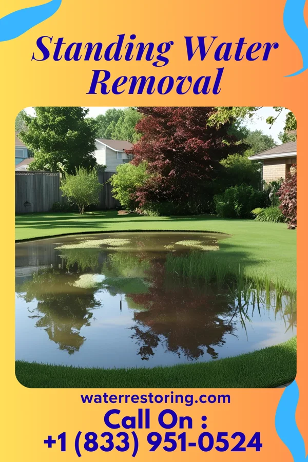 Standing Water Removal in Cambridge, OH